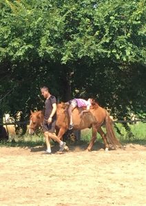 67726134_359336188328558_2981039446129901568_n