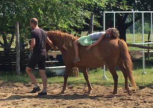 67743866_348395329439887_6583783757772226560_n