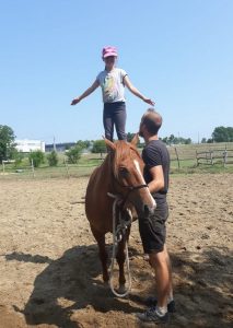 67824377_218597299051274_2550294573263880192_n