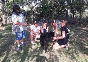 69274015_701804876954362_5229663071370215424_n